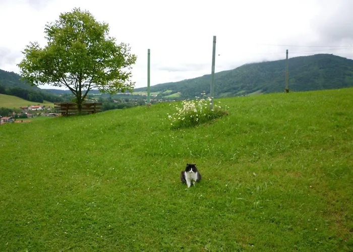 Maurerhof Inkl. Chiemgaukarte Feriegård
