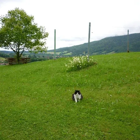 Maurerhof Inkl. Chiemgaukarte Gospodarstwo agroturystyczne